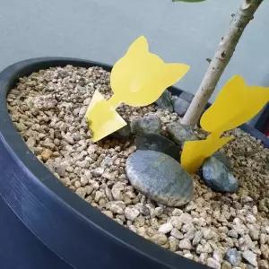 화분 식물 고양이 모양 끈끈이 초파리트랩 스티커