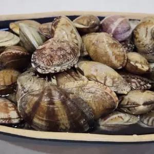 G1987 국내산 생물 바지락 1kg