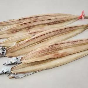 G1987 국내산 건갈치 1kg