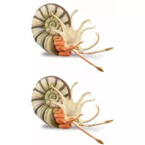 컬렉타 암모나이트 조개 바다 피규어 장난감 X2개