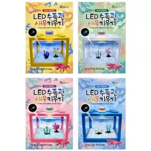 LED 수족관 새우 키우기 랜덤 발송기르기 관찰 학습 장난감 어항기르기 LED키우기