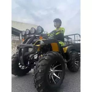 사발이 전동차 농업용 짐칸 버기카 바이크 팜트럭