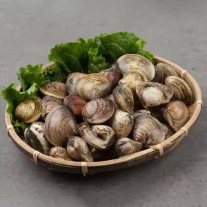 시원한 국물 맛의 끝판왕 남해안 제철 활 바지락 1kg 3kg 산지직송 바지락살