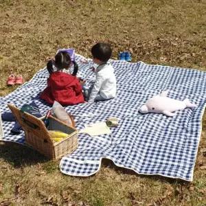 블루 체크무늬 방수 매트 대형 피크닉