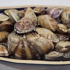 G1987 국내산 생물 바지락 1kg