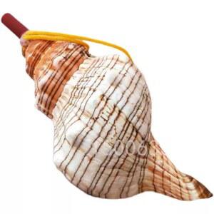 나각 뿔나팔 소라 숫자 휘파람 5CM 5CM7CM 대형 나팔 붉은 19 20cm