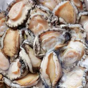 [신세계라이브쇼핑]완도 산지직송 냉동 손질 전복살 1kg