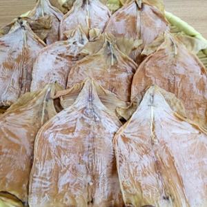 몸통오징어 마른 마른오징어 10마리 오징어 건오징어 몸통순살오징어