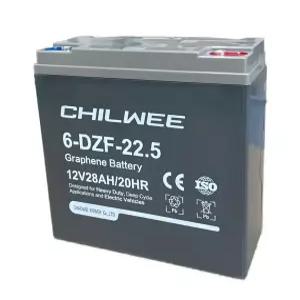 6-DZF-22 칠위 산업용 배터리 전동스쿠터 오토바이 테마파크 전동차