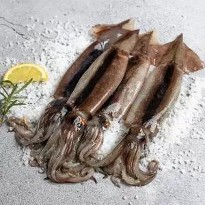 [G][마녀바스켓] 녹진한 손질 통찜용 오징어 자연산 500g(4-7미)