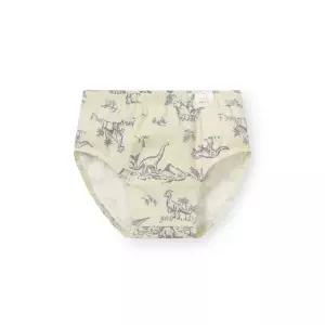 [롯데백화점]오르시떼 남아동 G209 디노라인그린 브리프 OR25ABBRG209