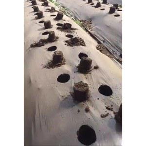 비닐 타공기 5CM 1개 펀처 필름 뚫는 거리자 유공 5CM 묘목 눈금자 구멍펀치