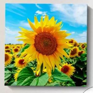 풍수 해바라기 그림 액자 거실 인테리어 해바라기 액자 집들이선물