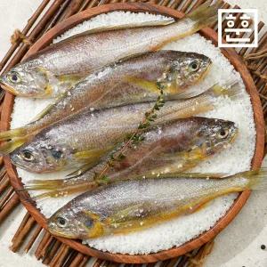 훈훈수산 제주 조기 한림 참조기 국내산