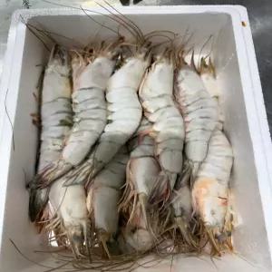 국산 냉동새우 500g