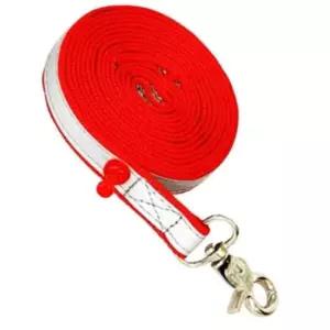 [반려] 다용도 목줄 끈 강아지 자동리드줄 반사띠 야간