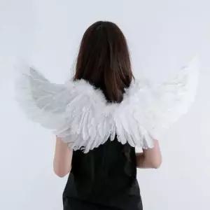 파티 소 크리스마스 할로윈 환타지천사날개 웨딩촬영