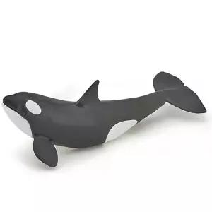 파포 (동물 모형완구) 아기 범고래 (56040)