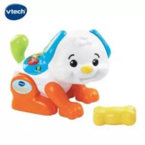 브이텍 춤추는 강아지 (146903)