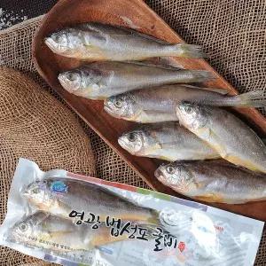 [NS홈쇼핑]국산 천일염 사용 영광굴비 진공 2호(30미,2.1kg내외,19cm내외)..[29658029]