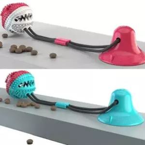 [반려] 노즈워크 잘무는 버릇들이기 볼 강아지 터그놀이