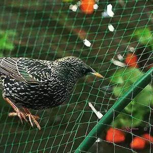 그물망 방조망 보호 4x10m 농작물pqr216