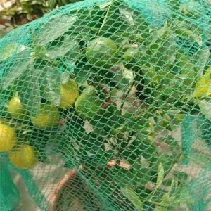 TBZ 농작물 보호 그물망 10M 1개
