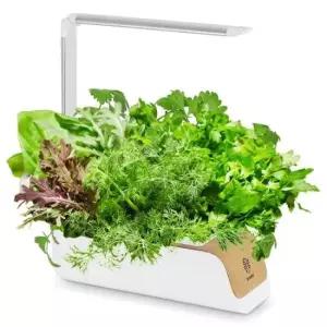 온풍기 가정용 LED 채소 재배기 CYPP310