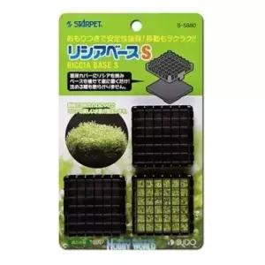 [반려] 안전한 리시아 기르기 모스베이스 간편 식물 재배 용기