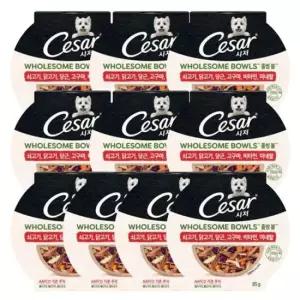 애견건식사료 강아지 습식 사료 홀썸볼 소고기 고구마 화식 85g 10P