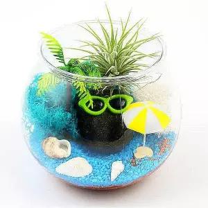 [키득키득]팝업 애완돌 키우기 이오난사 테라리움 만들기 패키지