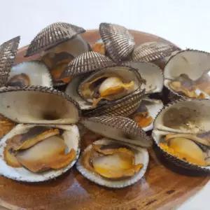 국내산 생물 피꼬막 3kg 40-50미 내외