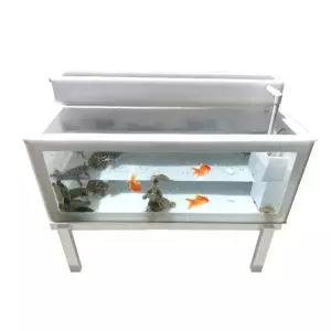 거북이 수조 반수생 오픈형 투명 사육상자 필터형 양서류