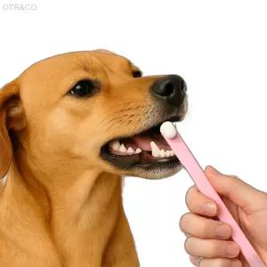 펫럽 초미세 만모 반려동물 칫솔 치석제거 노령묘용 고양이선물