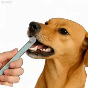 펫럽 초미세 만모 칫솔 스케일링 기능성칫솔