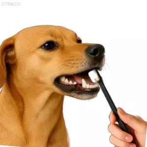 펫프랜 초미세 만모 칫솔 치아관리 자극없는 극세모