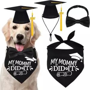 2026년 졸업복을 위한 골드 태슬이 달린 강아지 모자와 가운 소형 중형견을 반다나 선물