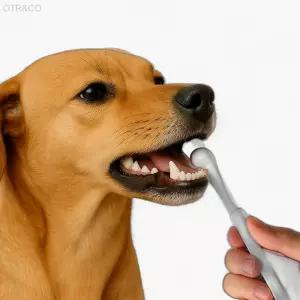 펫프랜 초미세 만모 칫솔 애묘용품 대형견용 반려견구강케어