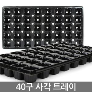 모종 트레이 40구 / 모종판 이색 포트 묘목 모판 원예용품 상자 트래이 주말농장 텃밭채소 화분