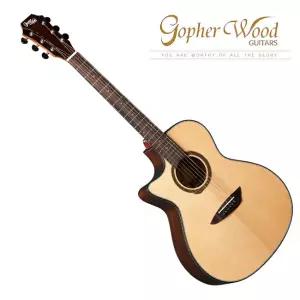 [스쿨뮤직]GopherWood - G330C LH