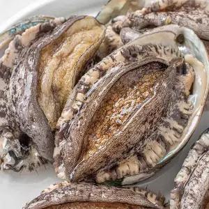 갯마을 대왕특대활전복 1kg (5-6미)