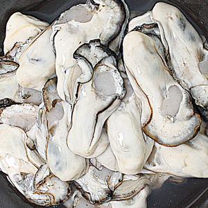 통영 냉동굴 200g