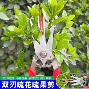 사과 가위 적과 건몰 원예 과수원 무선 솎음 가지치기 작업 나무 솎기 알솎기가위 원예가위