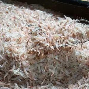 국내산 김장용 생새우 동백하 2kg 냉동 김장새우