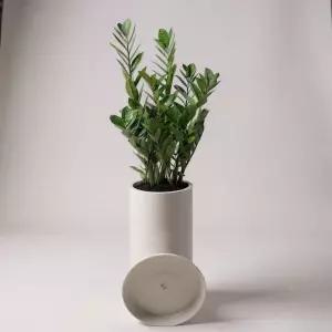 윤스가든 전국 당일배송 개업화분 사무실이전 병원개원 식당 카페 개업집 오픈 꽃배달