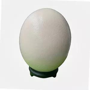 타조알 인테리어 선물 껍데기 수공예 조각품