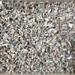 웰빙미래 국산 햇 건 꼴뚜기소 마른꼴뚜기 500g 볶음용 밑반찬 술안주