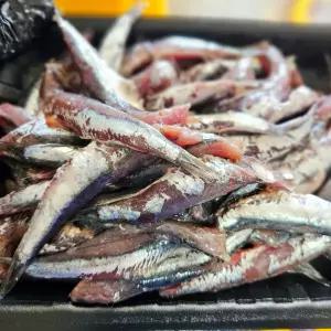 남해 생멸치 조림용 손질 500g 멸치쌈밥 멸치찌개 제철 햇멸치