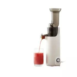 당근 녹즙기 원액기 미니 소형 생과일 쥬스기 가정용 사과 레몬 대구경 믹서기 스틸 주서기