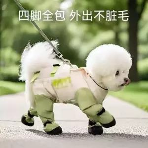 강아지 여름 산책바지 소형견 방충 방진 경량 레깅스 신발 4족화